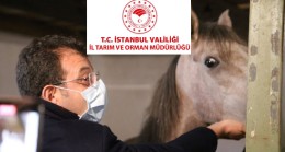 İstanbul İl Tarım ve Orman Müdürlüğü, İBB Başkanı İmamoğlu’nu yalanladı!