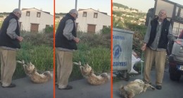 Köpeği sürükleyip çöpe atan vatandaş yakalandı