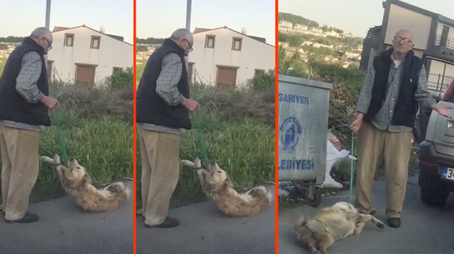 Köpeği sürükleyip çöpe atan vatandaş yakalandı
