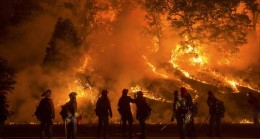 174 yangının 160’ı kontrol altına alındı, 14’ünü söndürme çalışmaları sürüyor
