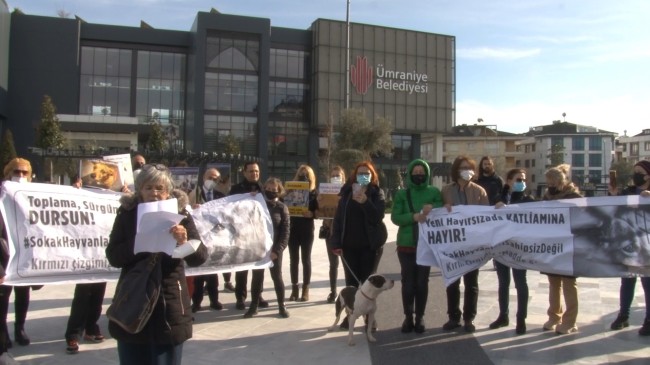 Hayvanseverler, Ümraniye Belediyesi önünde hayvan hakları eylemi yaptı