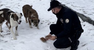 Kağıthane polisi sokak hayvanlarını unutmadı