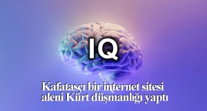 Kürt düşmanı bir internet sitesinden illere göre IQ sıralaması