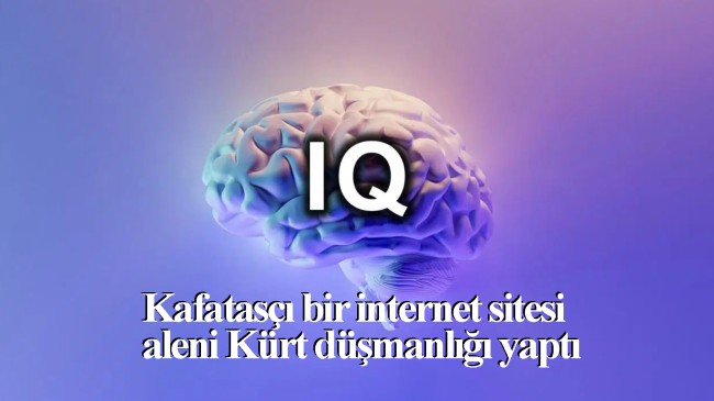 Kürt düşmanı bir internet sitesinden illere göre IQ sıralaması