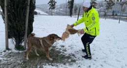 Polislerden sokak hayvanlarına ve yolda kalanlara merhamet eli