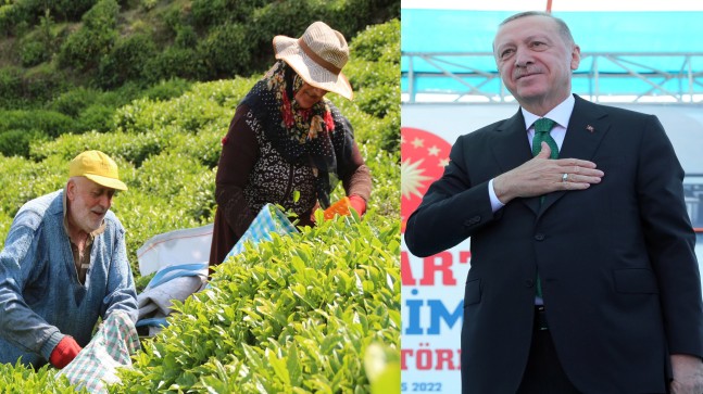 Cumhurbaşkanı Erdoğan, yaş çay fiyatını 3.87 liradan 7 liraya çıkardıklarını açıkladı
