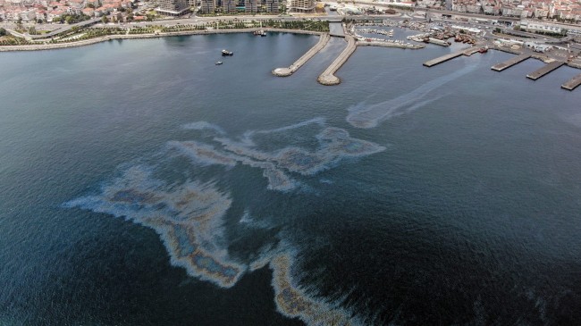 Zeytinburnu sahilinde mazot kirliliği