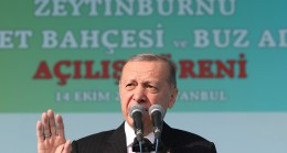 Cumhurbaşkanı Erdoğan, “Bizim bu yurt dışına gidişlerimiz, birilerinin gidişlerine benzemez!”