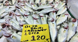 Balık pahalı ancak yine de alıcı buluyor