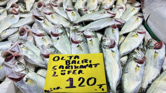 Balık pahalı ancak yine de alıcı buluyor