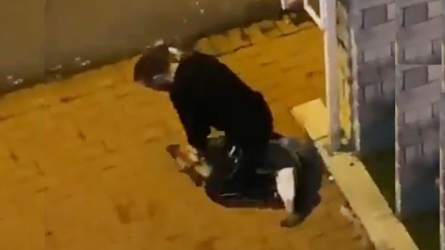 Sarıyer’de köpeği boğmaya teşebbüs eden cani tutuklandı