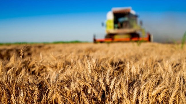 Tarım da yıllık artış: yüzde 97,41
