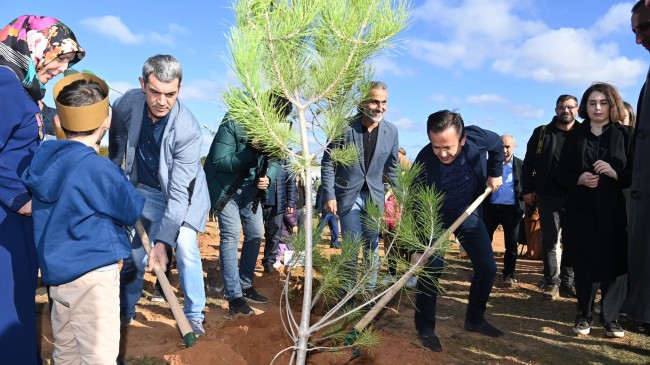 Tuzla’da ‘Milli Ağaçlandırma Günü’nde şehit ve gaziler için ağaç dikildi
