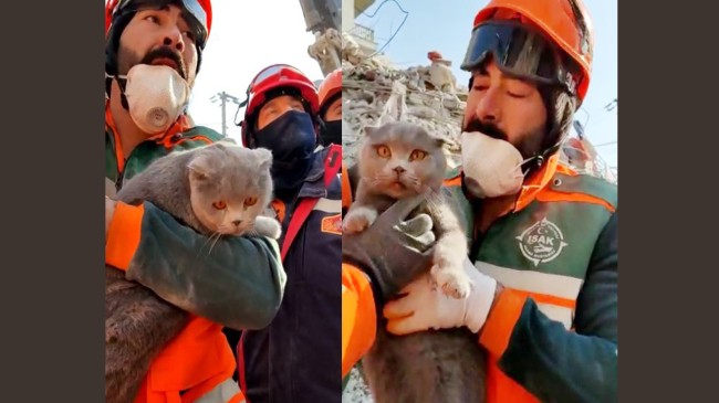 Enkaz altında mahsur kalan kedi arama kurtarma ekipleri tarafından kurtarıldı