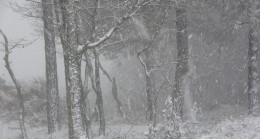 İstanbul’a lapa lapa kar yağıyor
