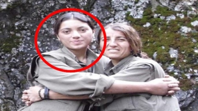 PKK’nın kırsal alan yapılanmasına katılan Yeşil Sol Parti milletvekili adayı İstanbul’da yakalandı