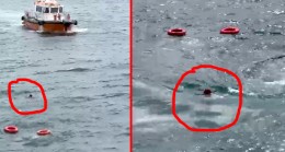Haydarpaşa açıklarında kadın yolcu denize düştü, vapur yoluna devam etti