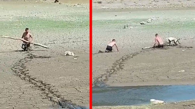 Sazlıbosna Barajı’nda bataklığa saplanan köpeği kurtardılar