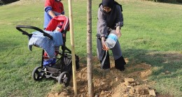 Kağıthane’de 2 bin 300 bebek adına ağaç dikildi